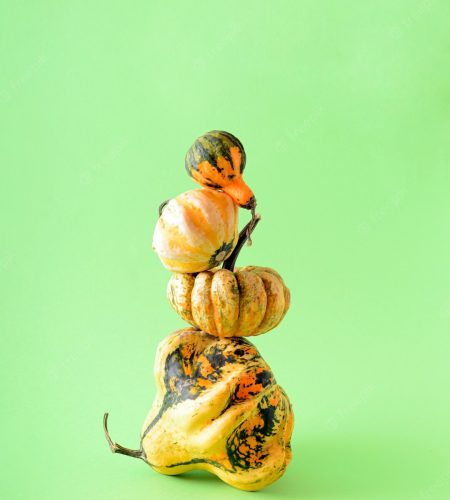 Financial Freedom is Within Reach with MyVault Vest 🎯